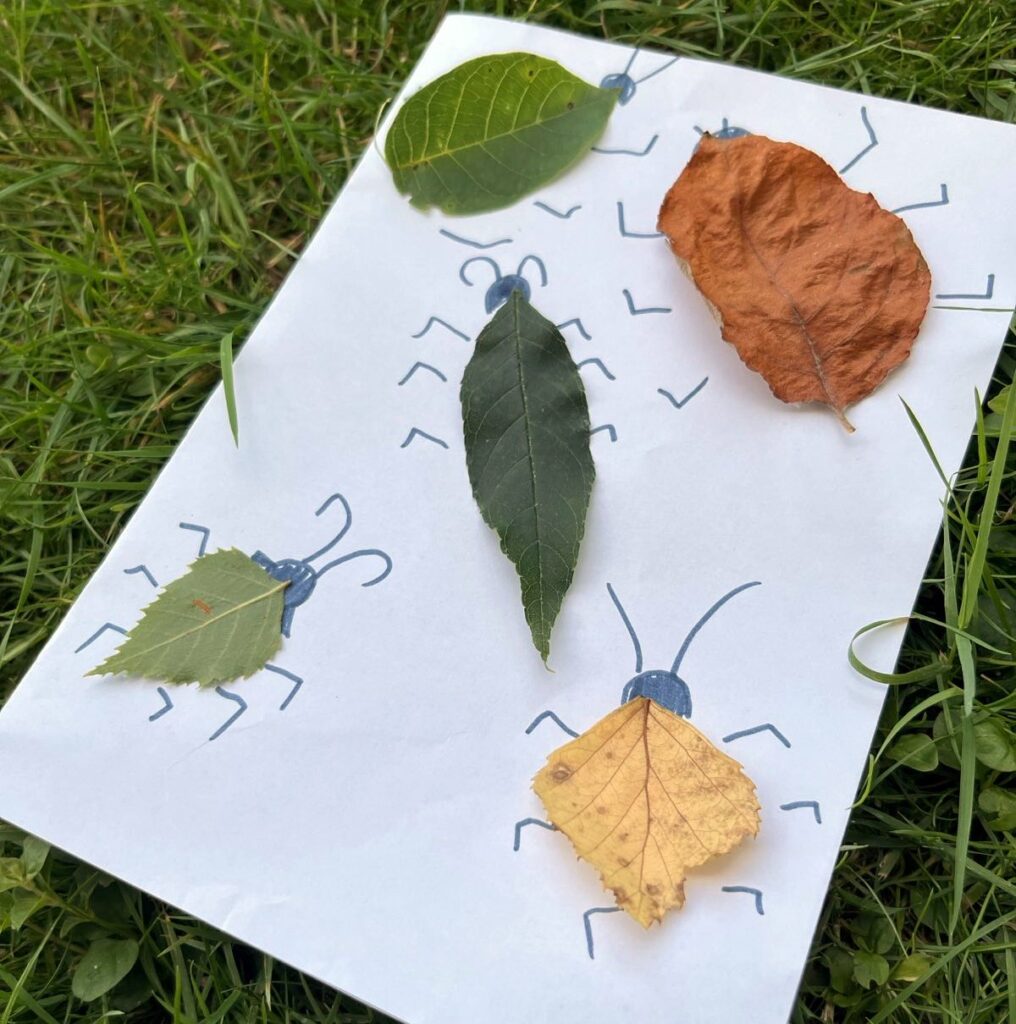 tvoření z přírodnin