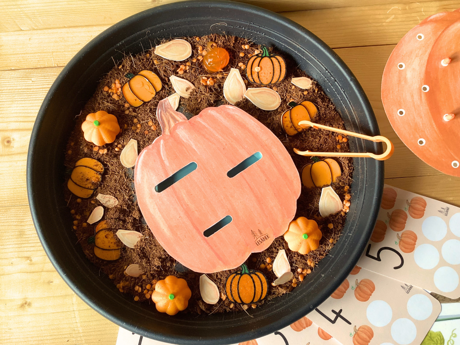 senzorické hraní dýně