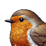 Profilový obrázek Katka K